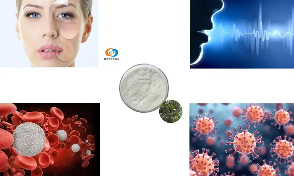 Discover the Impressive Health Benefits of Helicia Nilagirica Extract